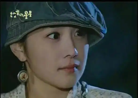 崔智友蔡琳尹恩惠刘仁娜刘荷娜韩恩贞金宣儿郑丽媛李多海朴诗妍_韩剧整容女明星_韩国整容女明星颜值变化